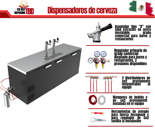 XL 6 servicios Básica