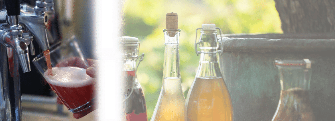 Kombucha