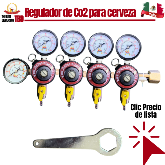 seccion reguladores 